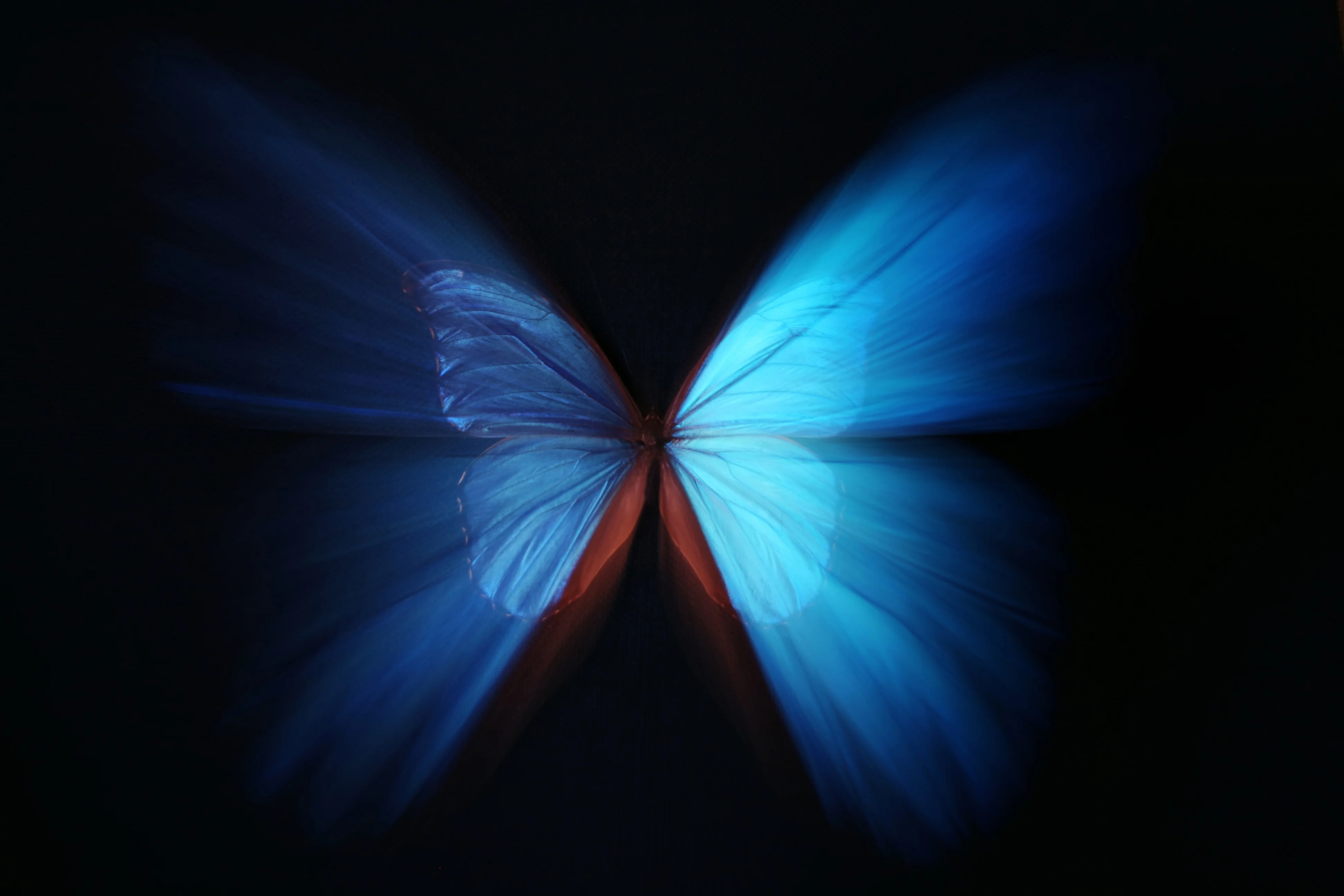Is The ‘Butterfly Effect’ A Real Thing?